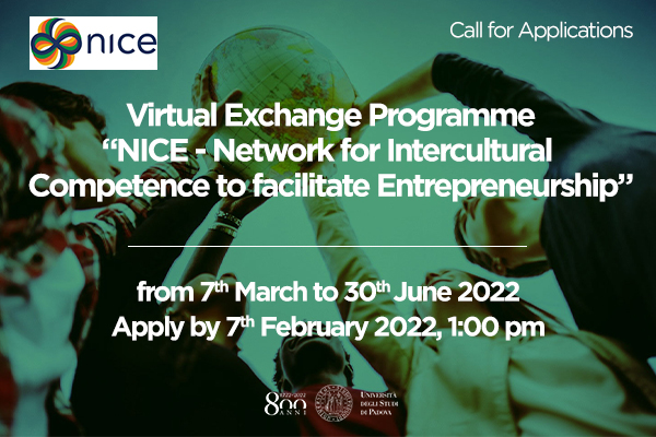 NICE - Network for Intercultural Competence to facilitate ...